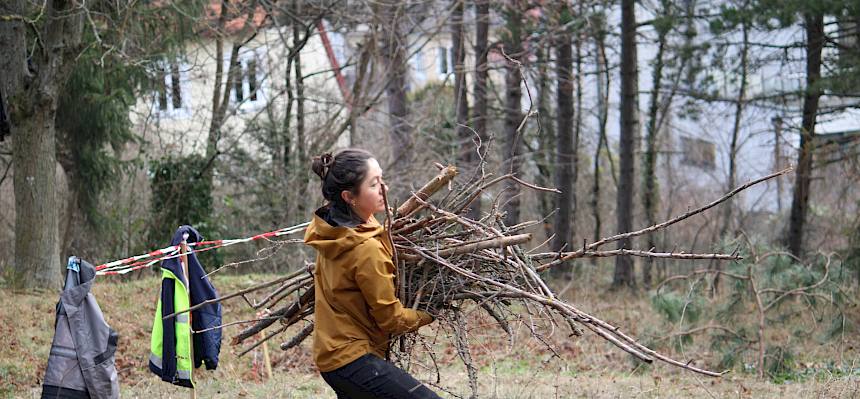 Das Schnittgut wurde von der Fläche gebracht und gestapelt - es dient nun als Unterschlupf für verschiedene Tierarten. © FdPH/L. Strobl