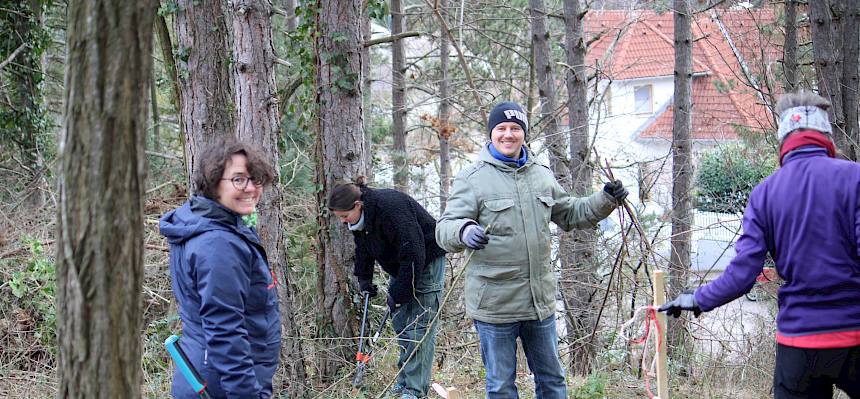 Die Fläche wurde heute von Gehölzen befreit. © FdPH/L. Strobl