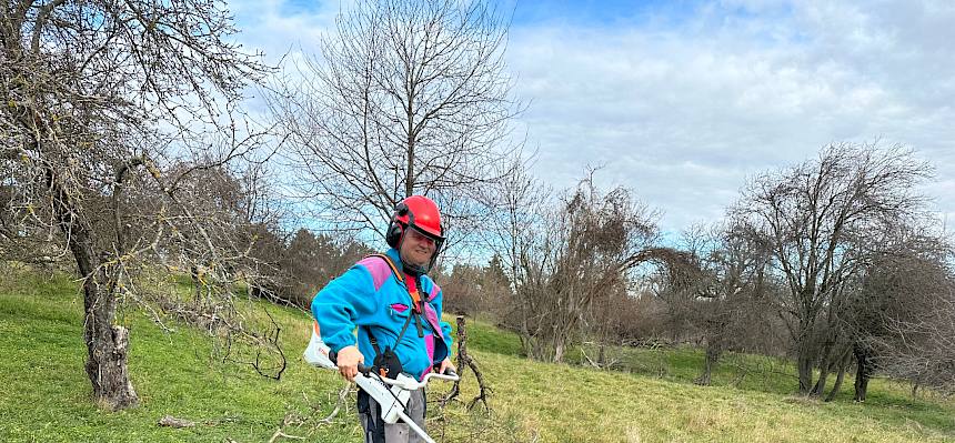 Konrad Brunnhofer (operativer GF Naturpark Föhrenberge) war heute mit dem Freischneider im Einsatz für die biologische Vielfalt. © FdPH/E. Weisz-Emesz