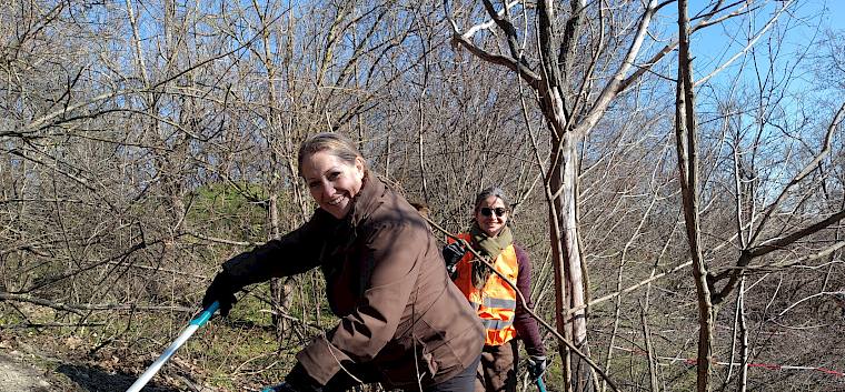 Kleingehölze wurden mit Astscheren entfernt. © FdPH/I. Drozdowski