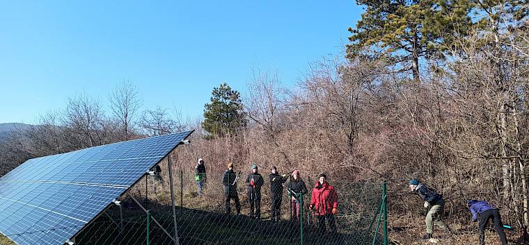 Am Nachmittag wurde der Hang oberhalb der PV-Anlage gepflegt. © FdPH/I. Drozdowski