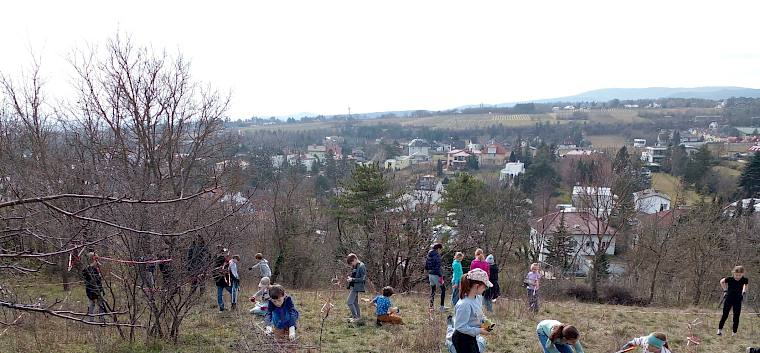 Der Hochberg im Herzen von Perchtoldsdorf ist gemeinsam mit der Heide ein Hotspot der Artenvielfalt. © LPV/N. Elek