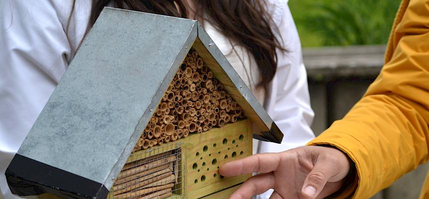 Die meisten Insektenhotels aus dem Baumarkt oder Gartencenter sind für viele Wildbienen unbrauchbar oder stellen für sie sogar eine Gefahr dar, da sie sich an den ausgefransten Schnittkanten ihre Flügel verletzen können. © FdPH/ F. Litzelmann