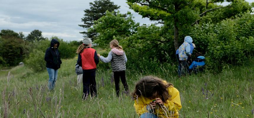 Beim Heide-Schulprojekt geht es nicht nur darum, Begeisterung für seltene Tiere und Pflanzen zu wecken, sondern auch ein Bewusstsein für den Schutz dieses besonderen Lebensraums und ein verantwortungsvolles Freizeitverhalten zu schaffen. © FdPH/J. Fischer