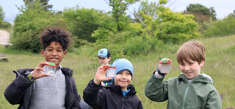 Ausgerüstet mit Becherlupen machten sich die Schüler:innen auf die Suche nach Insekten und Spinnen. © FdPH/F. Hohn