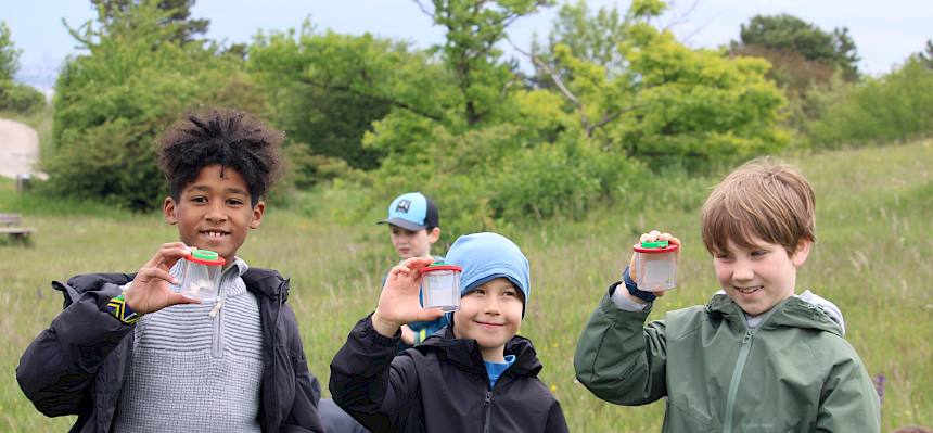 Ausgerüstet mit Becherlupen machten sich die Schüler:innen auf die Suche nach Insekten und Spinnen. © FdPH/F. Hohn