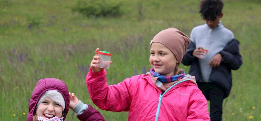 Die Schüler:innen entdecken die Tiere der Perchtoldsdorfer Heide. © FdPH/F. Hohn