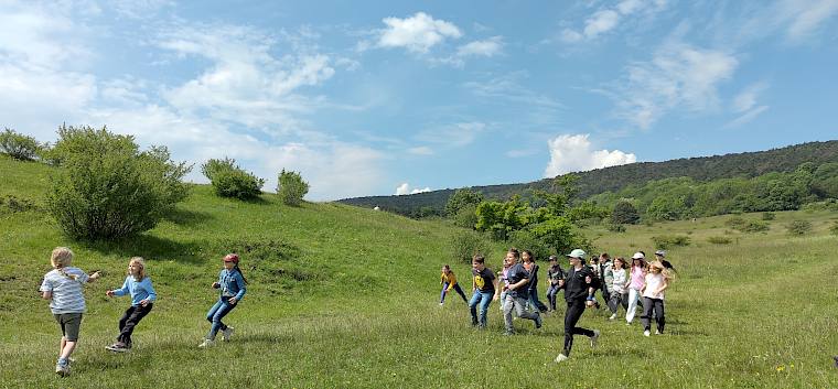 Natur statt Klassenzimmer - das war das Motto der heutigen Heide-Exkursionen. © FdPH/J. Fischer