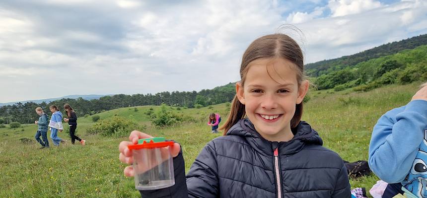 Die Schüler:innen entdecken die Tiere der Perchtoldsdorfer Heide. © FdPH/B. Sabek