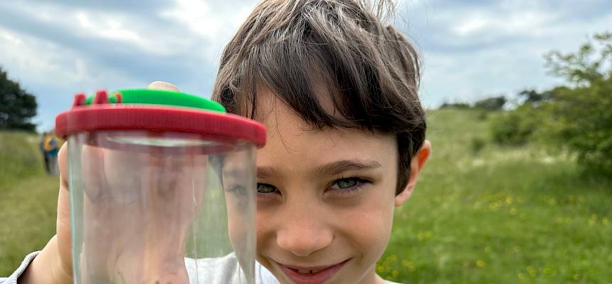 Die gefundenen Insekten wurden ausgiebig betrachtet. © FdPH/E. Weisz-Emesz
