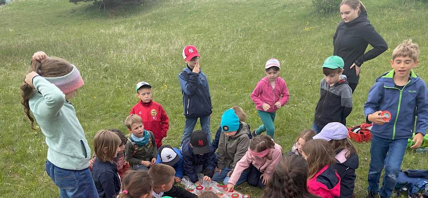 Ausgerüstet mit Becherlupen machten sich die Schüler:innen auf die Suche nach Insekten und Spinnen. © M. Lanschützer