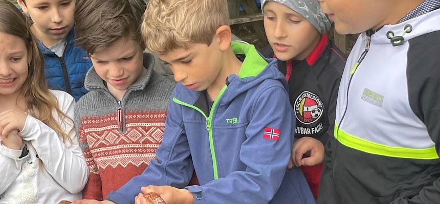 Um den Kindern die Scheu vor Schlangen zu nehmen, war sogar eine harmlose Kornnatter (amerikanische Art) beim Heide-Schulprojekt mit dabei.© M. Lanschützer