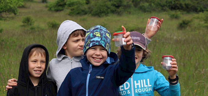 Beim Heide-Schulprojekt entdeckten dieses Jahr 23 Klassen aus Perchtoldsdorf im Rahmen einer Trockenrasenführung die Heide.© FdPH/F. Hohn