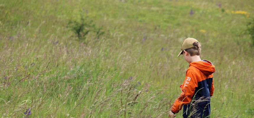 Ausgerüstet mit Becherlupen machten sich die Kinder auf die Suche nach Insekten und Spinnen. © FdPH/F. Hohn