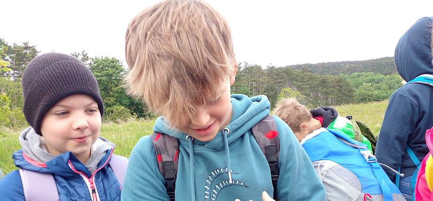 Von der Sägeschrecke waren die Schüler:innen besonders fasziniert. © FdPH/N. Elek