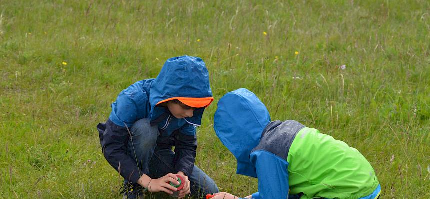Ausgerüstet mit Becherlupen machten sich die Kinder auf die Suche nach Insekten und Spinnen. © FdPH/F. Litzelmann