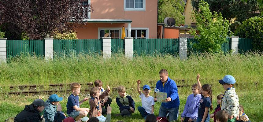 Biologe Norbert und die Pfadfinder:innen Perchtoldsdorf Gruppe WiWö besprechen den Lebensraum Naturwiese. © FdPH/F. Litzelmann
