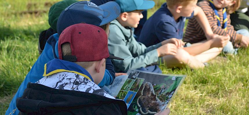 Durch die Folien lernten die Kinder verschiedene Insektenarten näher kennen. © FdPH/F. Litzelmann