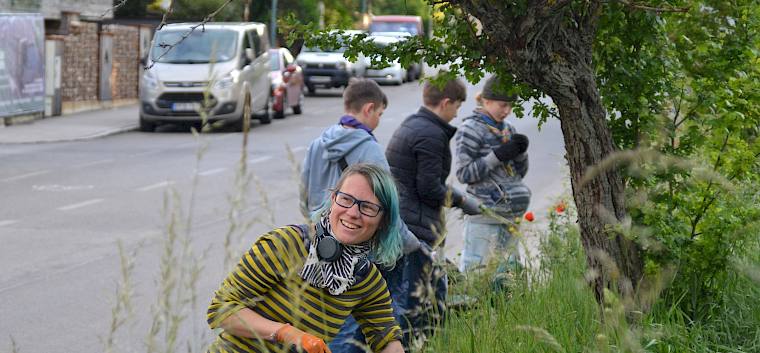 Gemeinsam mit unseren Biolog:innen wird Mäusegerste samt Wurzeln von der Fläche entfernt. © FdPH/F. Litzelmann