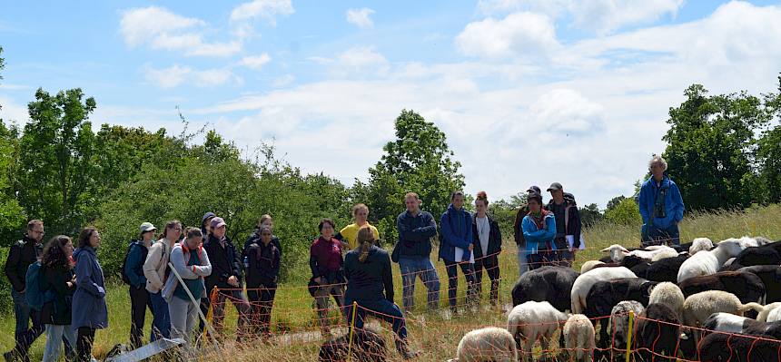 Die Teilnehmenden aus den Naturparken konnten heute viele Informationen zum Thema Beweidung mitnehmen. © FdPH/F. Litzelmann