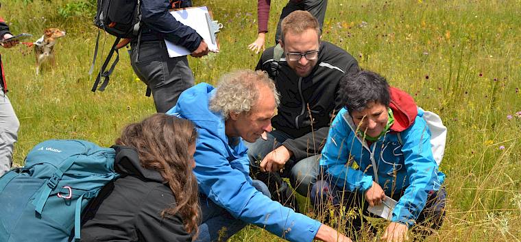 Am Weg über die Heide blieb auch noch genug Zeit, um sich besonderen Tier- und Pflanzenfunden zu widmen. © FdPH/F. Litzelmann