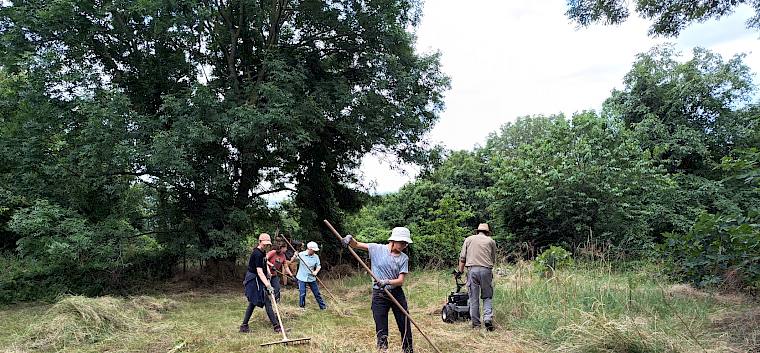 Bereiche wie die Spielwiese wurden gemäht und das Schnittgut zusammengerecht.. © FdPH