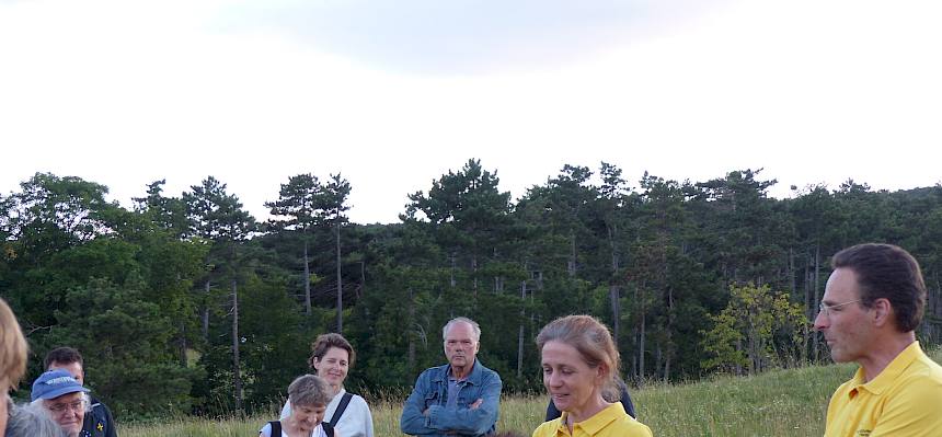 Zum Einstieg erfolgte ein kurzer geschichtlicher Rückblick: Offene Graslandschaften wie Steppen existierten bereits seit der Eiszeit. © LPV/S. Habellöcker