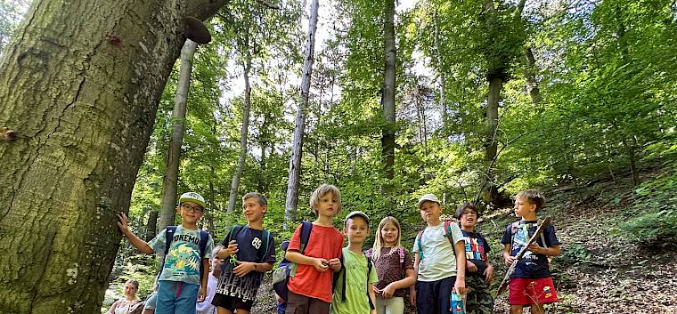 Waldforscher:innen unterwegs. © FdPH/E. Weisz-Emesz