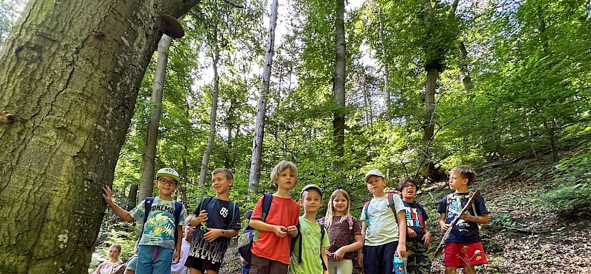 Waldforscher:innen unterwegs. © FdPH/E. Weisz-Emesz
