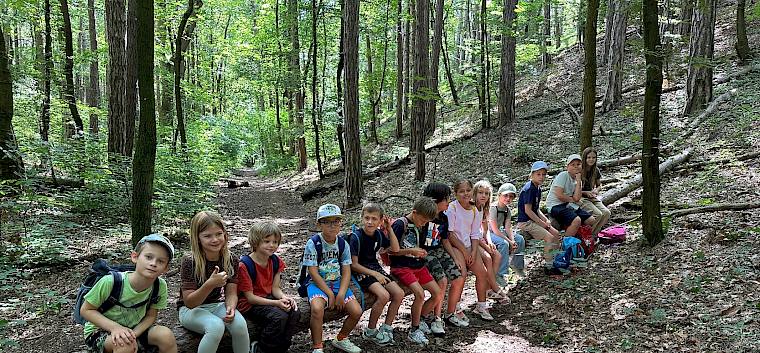 Heute erforschten 13 junge Perchtoldsdorfer:innen den vielfältigen Wald in ihrer Gemeinde. © FdPH/E. Weisz-Emesz