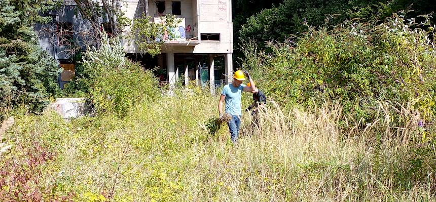 Bei der Arbeit. © LPV/N. Elek