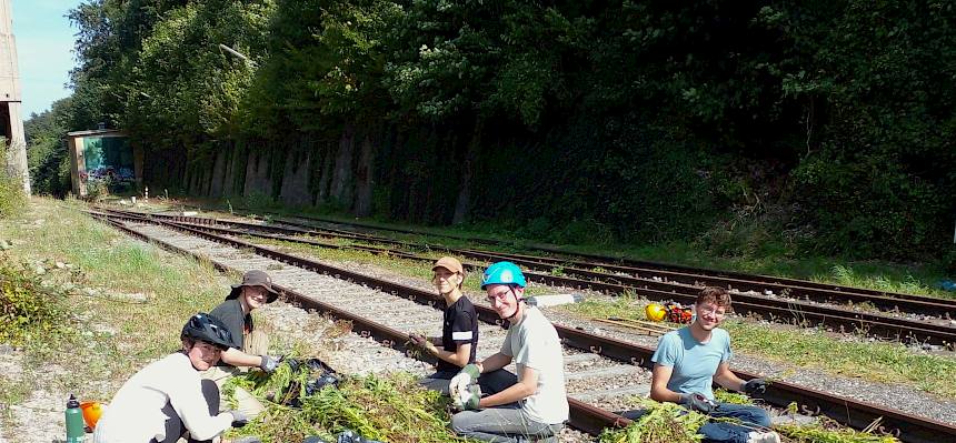 Fünf Praktikant:innen und ein Mitarbeiter des Landschaftspflegevereins waren heute im Bereich der Kaltenleutgebener Straße sowie bei der ehemaligen Zementfabrik unterwegs. © LPV/N. Elek