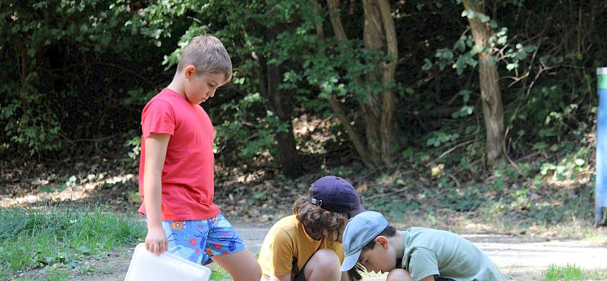 Der Bachtag machte den Kindern großen Spaß. © FdPH/F. Hohn