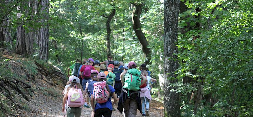 Nach dem Mittagessen machten wir uns wieder auf den Weg zum Bildungsgarten...© FdPH/F. Hohn