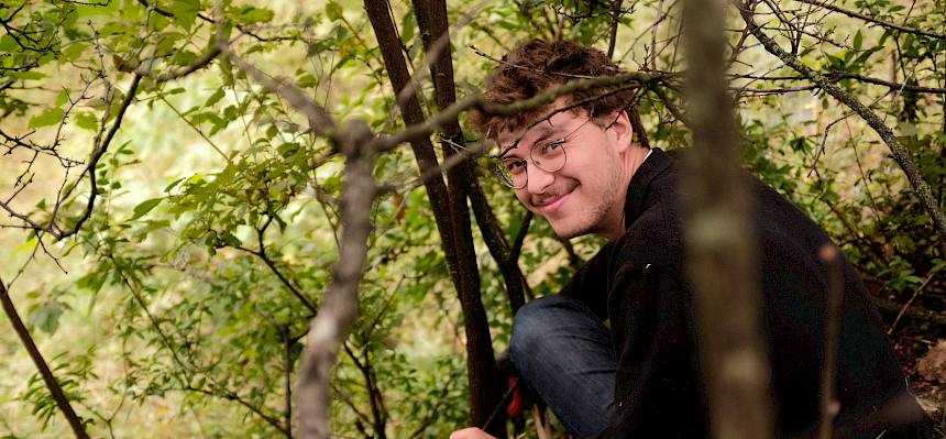 Laubgehölze mit geraden Stämmen werden geringelt. Sie sterben dann ab ohne viele neue Triebe zu bilden. © FdPH/J.F. Fischer