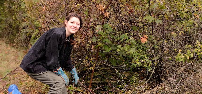 Einzelne Gebüsche werden herausgeschnitten. © FdPH/J.F. Fischer