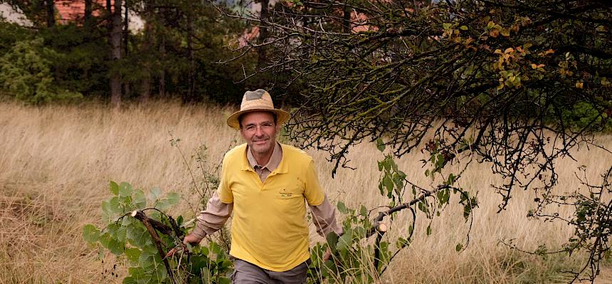 Das Schnittgut wird zum Sammelpunkt geschleppt. © FdPH/J.F. Fischer