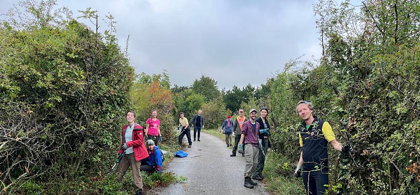 Heute wurde die Hecke entlang der Heidestraße ausgelichtet. © FdPH/A. Mrkvicka