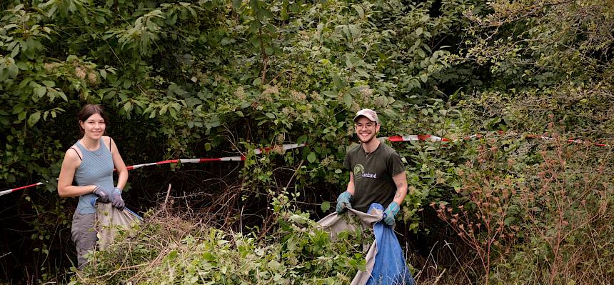 Auf kurzer Strecke kommt eine große Menge Schnittgut zusammen. © FdPH/J.F. Fischer