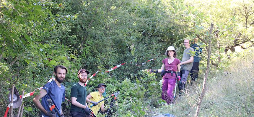 Ein Korridor für den Weidezaun entsteht mit vereinten Kräften. © FdPH/F. Hohn