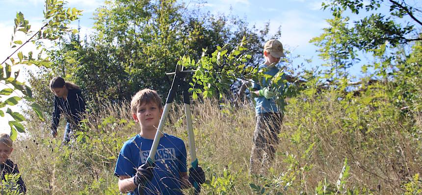 Aus dem Trockenrasen beim Aussichtspunkt auf der Großen Heide werden die kleinen Eschen gezwickt. © FdPH/F. Hohn