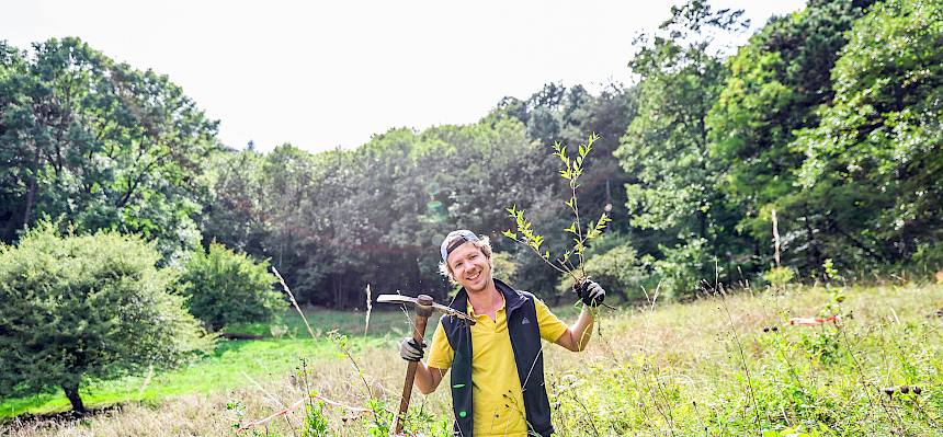 Liguster aushacken für die wertvolleen Tiere und Pflanzend er Heide macht Spaß! © FdPH/N. Novak