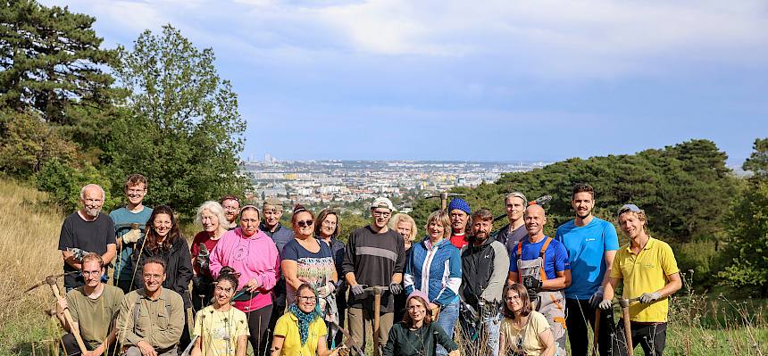 Helfer:innen bei der Heidepflegewoche am Dienstag Vormittag und Nachmittag im westlichen Saugraben © FdPH/N. Novak