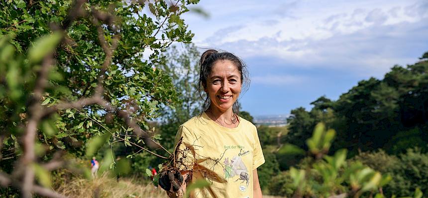 Zahlreiche Liguster, die sich wie ein Teppich über den Trockenrasen legen, wurden ausgehackt. So haben die seltenen Tiere und Pflanzen wieder mehr Platz! © FdPH/N. Novak