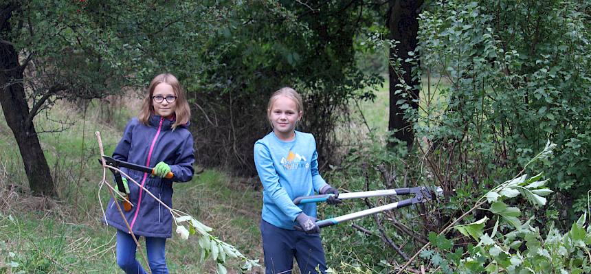Alle paar Jahre müssen die Gebüsche der Hecke zurückgesetzt werden. Das Schnittgut wird gleich in die Hecke geschlichtet. © FdPH/F. Hohn