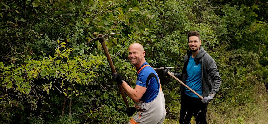 Entlang des Waldrandes am besonders wertvollen Südhang des Saugrabens gab es sehr viel Liguster auszuhacken. © FdPH/J.F. Fischer