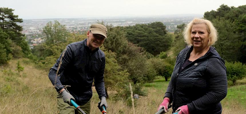 Mit vereinten Kräften wurde der Westteil des Saugrabens heute erfolgreich entbuscht. © FdPH/J.F. Fischer