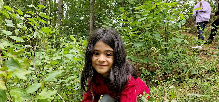 Viele kleine Büsche sind zu zwicken. © FdPH/V. Pellarin