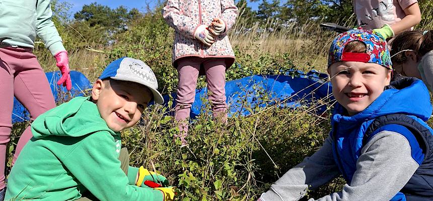 Viele kleine aber stachelige Gebüsche werden geschnitten. © FdPH/J. Rehrmbacher
