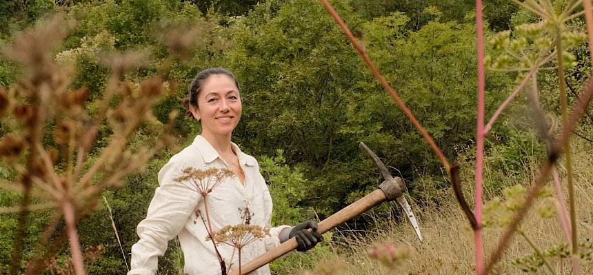 Am Südhang der Kleinen Heide werden Liguster ausgehackt. © FdPH/J.F. Fischer